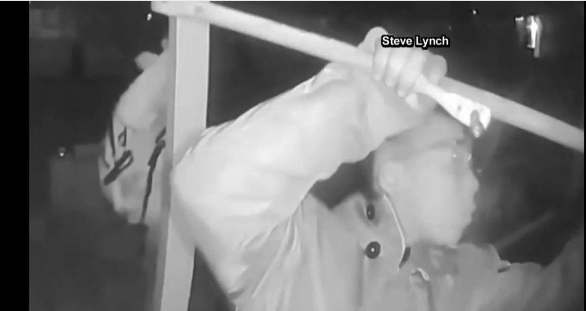Four thieves caught on surveillance terrorizing Henderson neighborhood.    