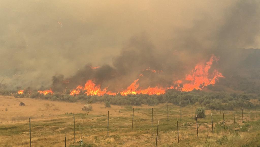 Large fire burns in Lassen County, along Nevada border 