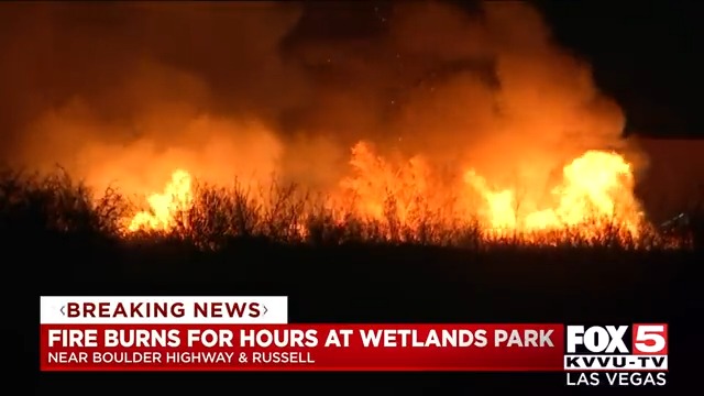 A brush fire at the Wetlands Park burned for several hours and torched nearly nine acres.