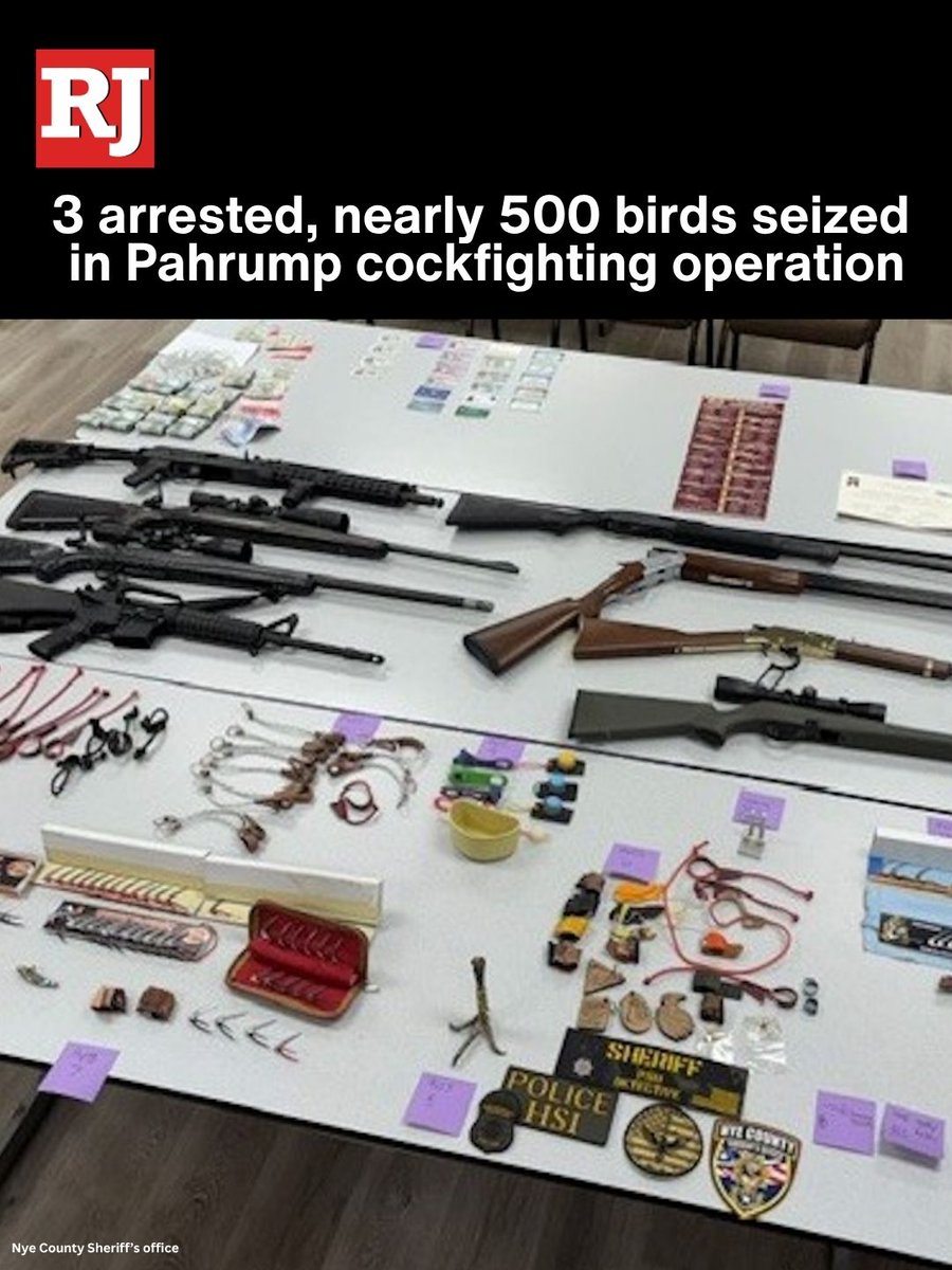 Three people were arrested and nearly 500 birds were seized in Pahrump Tuesday in connection with a cockfighting operation, according to authorities